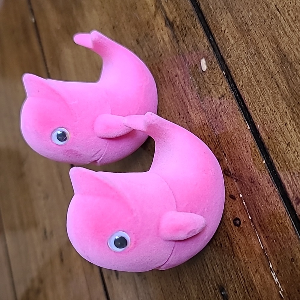 Pink dolphin jewelry box
